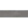 Mexen Lassa Grès cérame émaillé rectifié G1, carreau de sol et mural 120 x 30 cm, mat - TL705-120-030-03