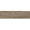 Mexen Riga Grès naturel émaillé rectifié G1, carreau effet bois sol-mur 120 x 30 cm, mat - TL713-120-030-07