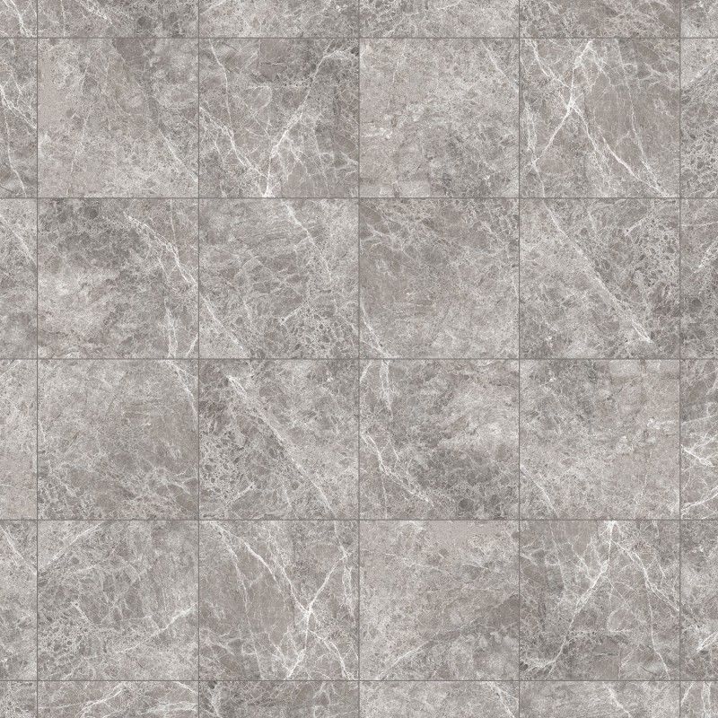 Mexen Lizard Grès gris émaillé rectifié G1, carreau sol et mur 60 x 60 cm, brillant - TL109-060-060-02