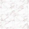Mexen Nubian Grey grès émaillé rectifié. G1, carreau sol-mural 120 x 60 cm, carving - TL424-120-060-00