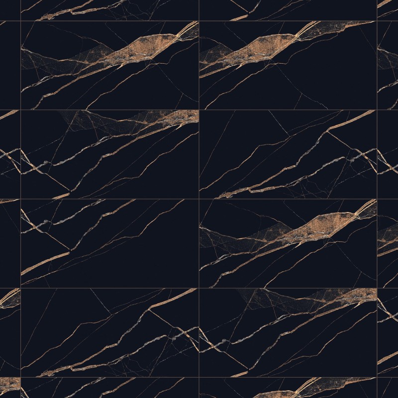 Mexen Fossil Black grès émaillé rectifié. G1, carrelage sol et mur 120 x 60 cm, haute brillance - TL213-120-060-00