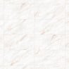 Mexen Forever Grey grès émaillé rect. G1, carreau sol-mur 120 x 60 cm, brillant - TL139-120-060-00