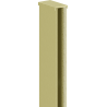 Mexen liste murale pour cloison de douche 10 mm, or brossé - 800-00-55-X