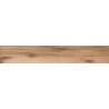 Mexen Indica Échantillon marron de grès cérame émaillé rectifié. G1, carreau effet bois, sol-mur, mat - TL604-02-S