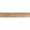 Mexen Indica Échantillon marron de grès cérame émaillé rectifié. G1, carreau effet bois, sol-mur, mat - TL604-02-S