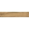 Mexen Jasperwood Échantillon de carreau de grès émaillé rectifié Almond. Carreau effet bois sol-mur, mat - TL605-00-S