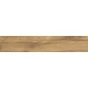 Mexen Jasperwood Échantillon de carreau de grès émaillé rectifié Almond. Carreau effet bois sol-mur, mat - TL605-00-S