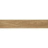 Mexen Jasperwood Échantillon de carreau de grès émaillé rectifié Almond. Carreau effet bois sol-mur, mat - TL605-00-S