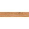 Mexen Jasperwood Noce échantillon de grès émaillé rectifié G1, carreau imitant le bois mur-sol, mat - TL605-03-S