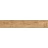 Mexen Meranti Honey échantillon de grès émaillé rectifié G1, carreau d'aspect bois pour sol et mur, mat - TL609-04-S