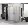 Mexen Exo-S Duo 3S cabine de douche à 3 parois coulissante 200 x 100 cm, transparent, or - 8152-200-100-50-00-3S