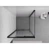 Mexen Exo cabine de douche coulissante 100 x 100 cm, transparente, noire - 8153-100-100-70-00