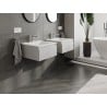 Mexen Orio meuble de salle de bain 50 cm avec lavabo Otis, 1 tiroir, gris mat/blanc mat - 91A10-05023-1-BF62-W18M01