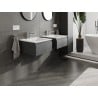 Mexen Orio armoire de salle de bain 50 cm avec lavabo Otis, 1 tiroir, graphite mat/blanc mat - 91A10-05023-1-BF66-W18M01