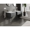 Mexen Orio armoire de salle de bain 50 cm avec lavabo Vela, 1 tiroir, graphite mat/blanc mat - 91A10-05023-1-BF66-W23M01