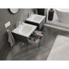 Mexen Orio armoire de salle de bain 50 cm avec lavabo Vela, 1 tiroir, graphite mat/blanc mat - 91A10-05023-1-BF66-W23M01