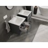 Mexen Orio cabinet de salle de bain 50 cm avec lavabo Otis, 2 tiroirs, graphite mat/blanc mat - 91A10-05047-2-BFF66-W18M01