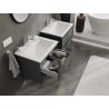 Mexen Orio meuble de salle de bain 60 cm avec lavabo Otis, 2 tiroirs, graphite mat / blanc mat - 91A10-06047-2-BFF66-W18M01
