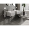 Mexen Rivel armoire de salle de bain 50 cm avec lavabo Otis, 1 tiroir, rainuré, gris mat/blanc mat - 91A20-05023-1-BF62-W18M01