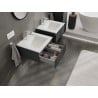 Mexen Rivel armoire de salle de bain 50 cm avec lavabo Otis, 1 tiroir, rainurée, graphite mat/blanc mat