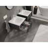 Mexen Rivel meuble de salle de bain 50 cm avec lavabo Vela, 1 tiroir, cannelé, graphite mat/blanc mat