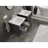 Mexen Rivel meuble de salle de bain 50 cm avec lavabo Vela, 2 tiroirs, rainuré, graphite mat/blanc mat