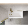 Mexen Mist paroi de douche à 1 volet 60 x 150 cm, transparent, doré brossé - 8A9-060-001-55-00