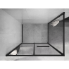 Mexen Linea cabine de douche coulissante 100 x 80 cm, transparente, noire - 8E1-100-080-70-70