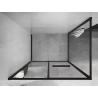 Mexen Linea cabine de douche coulissante 120 x 95 cm, transparente, noire - 8E1-120-095-70-70