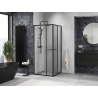 Mexen Linea cabine de douche coulissante 90 x 90 cm, transparent, noir - 8E1-090-090-70-70