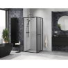 Mexen Linea cabine de douche coulissante 100 x 100 cm, transparent, noir - 8E1-100-100-70-70