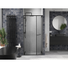 Mexen Linea porte de douche coulissante 95 cm, transparente, noire - 8E1-095-000-70-70