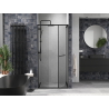 Mexen Linea porte de douche coulissante 100 cm, transparent, noir - 8E1-100-000-70-70