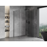 Mexen Mist-H T cabine de douche pivotante droite 110 x 100 cm, transparent, gris canon brossé - 8A5T-110-100-66-00-P