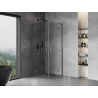 Mexen Mist-H L Duo cabine de douche à charnières 75 x 75 cm, transparent, gris canon brossé - 8A5L-075L-075P-66-00