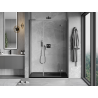 Mexen Mist-H L porte de douche pivotante droite 120 cm, transparent, métal canon - 8A5L-120-001-95-00-P
