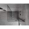 Mexen Mist-F cabine de douche pliante droite 110 x 110 cm, transparent, gris fusil brossé - 8A6T-110-110-66-00-P