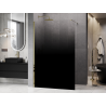 Mexen Kioto paroi de douche Walk-in 120 x 200 cm, ombrée noire 8 mm, dorée - 800-120-101-50-76
