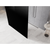 Mexen Kioto paroi de douche autoportante 120 x 200 cm, ombrée noire 8 mm, nickel brossé - 800-120-002-97-76