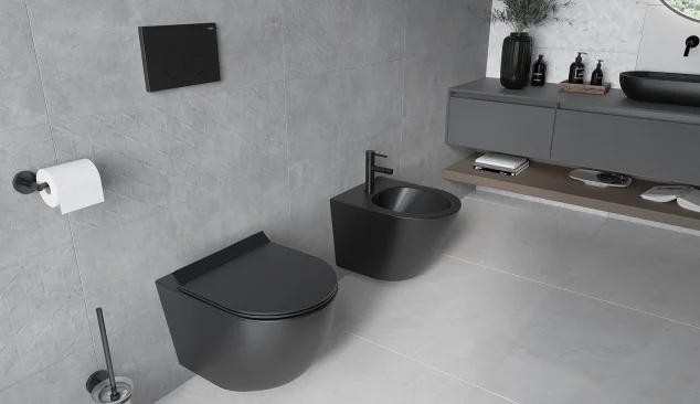 Toilettes grises modernes avec des accessoires noirs